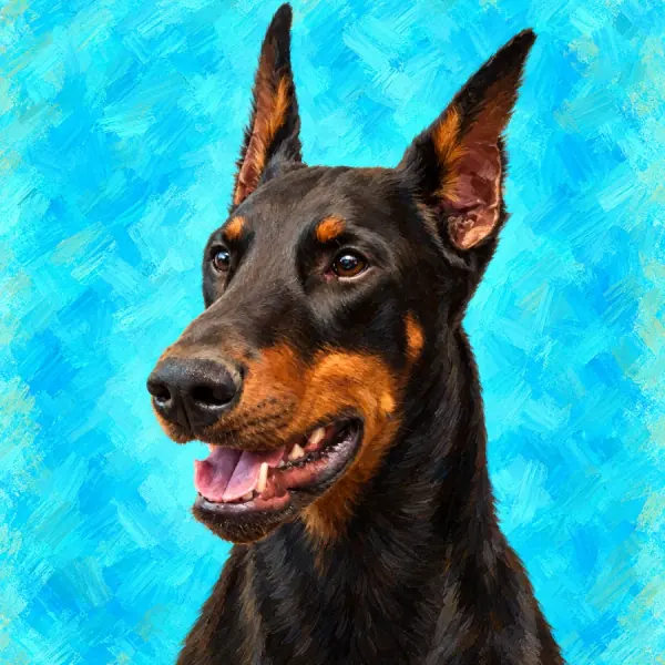 Painted portrait of a black and tan Doberman