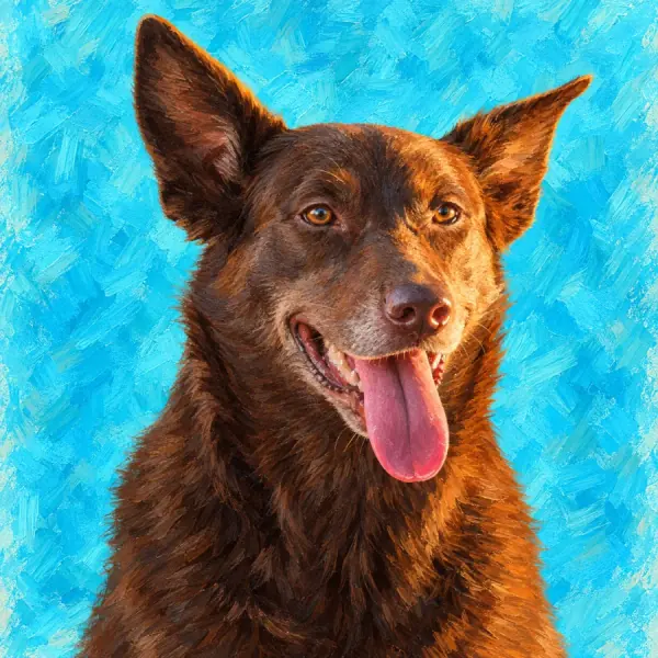 Painted portrait of a brown Kelpie