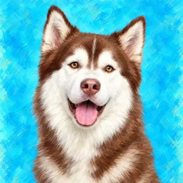 Painted portrait of a brown and white husky